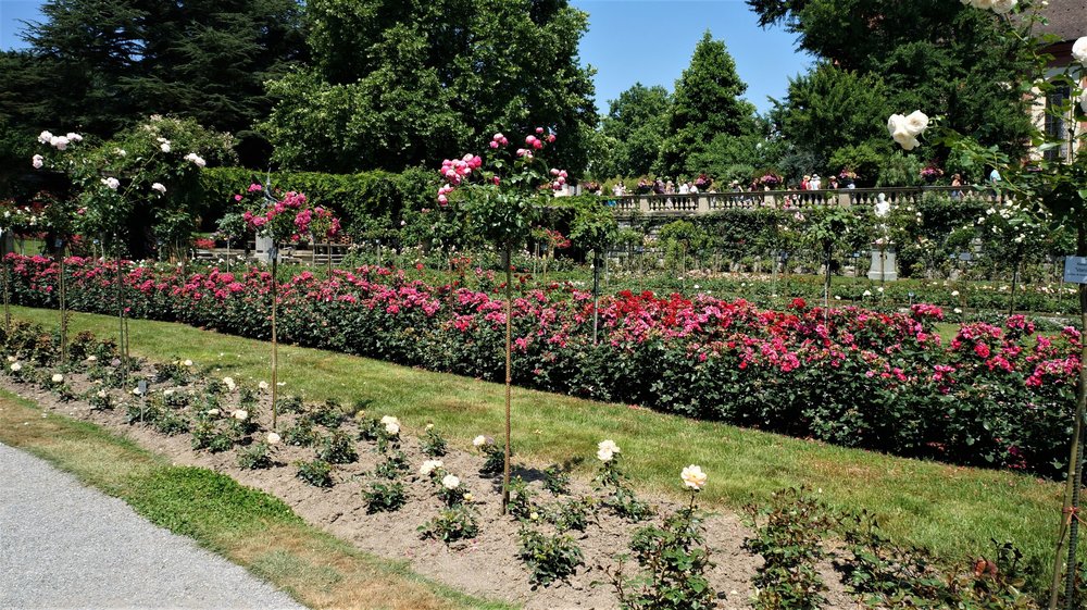 18.06.30_201_ о.Майнау.JPG