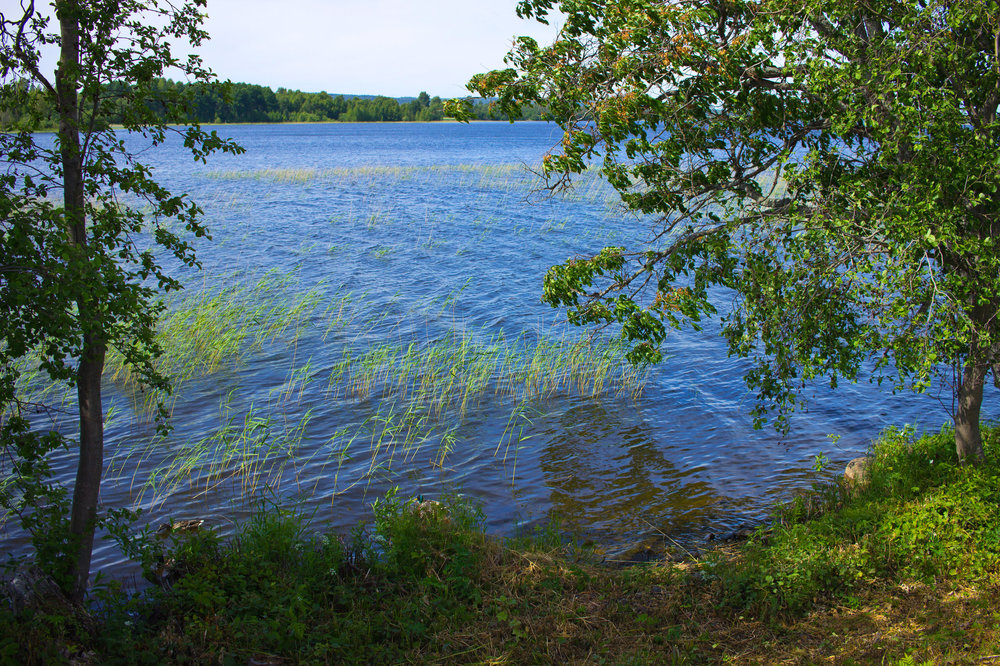 IMG_3842 Кижи.jpg