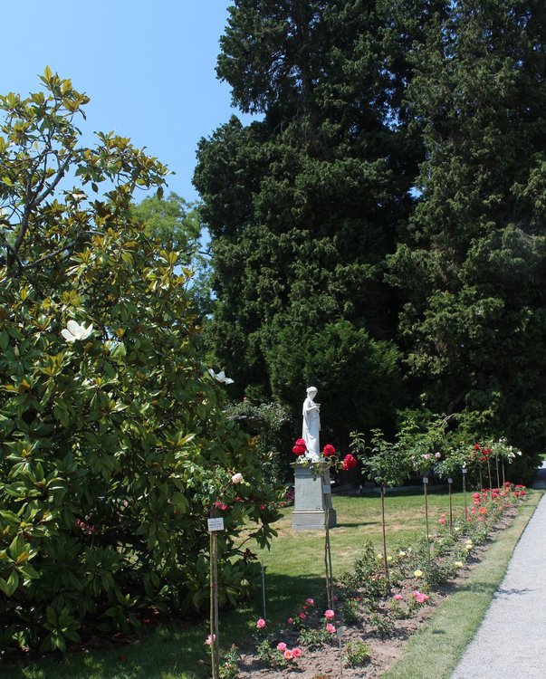 18.06.30_208_ о.Майнау.JPG