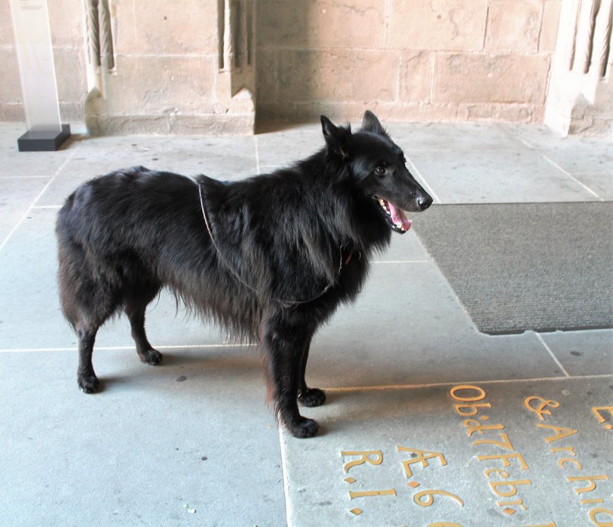 18.06.30_273_  Констанц.JPG