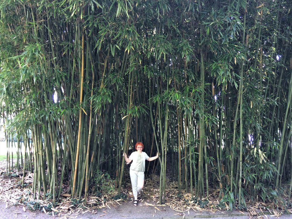 18.06.30_316_ о.Майнау.JPG