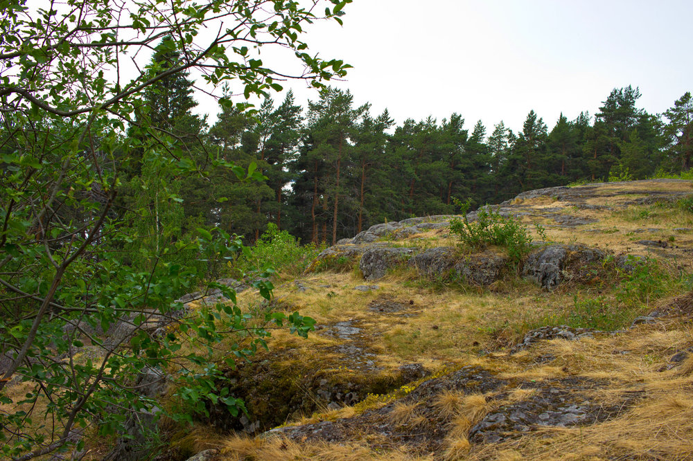 IMG_4224 Урочище Чертов Стул.jpg