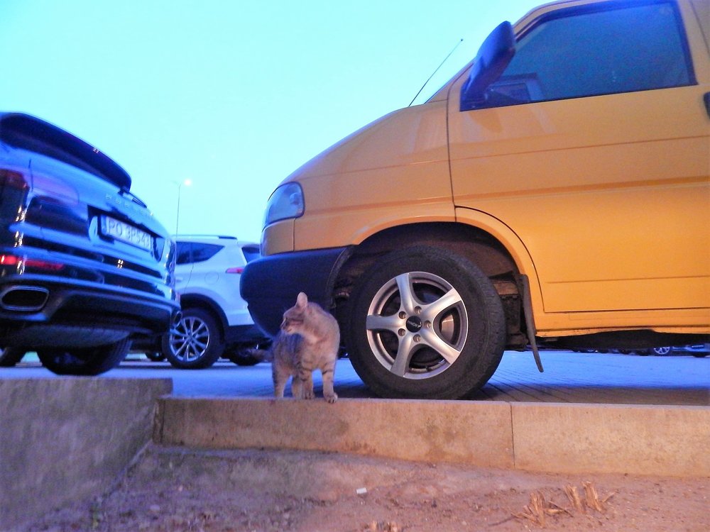 Вид из окна отеля в Польше..jpg