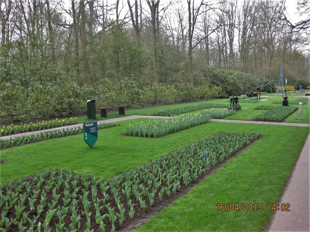 Изображение 364.jpg