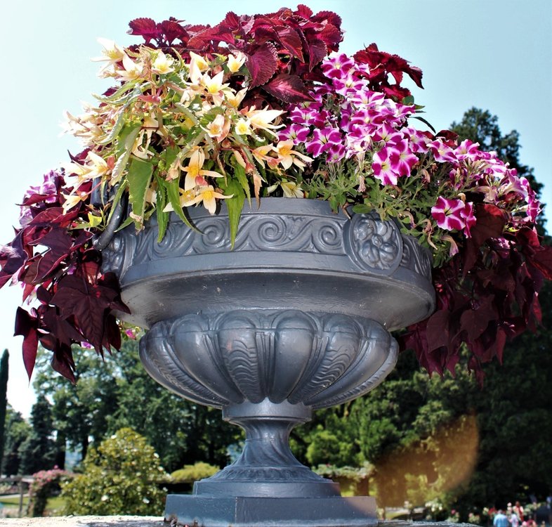 18.06.30_226_ о.Майнау.JPG