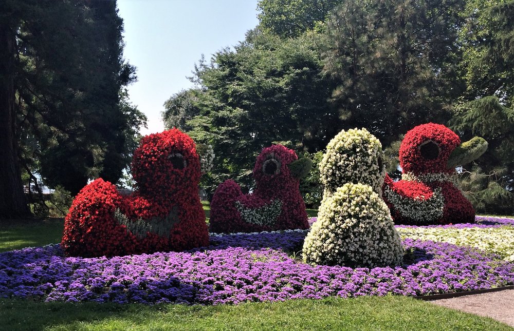 18.06.30_051_ о.Майнау.JPG