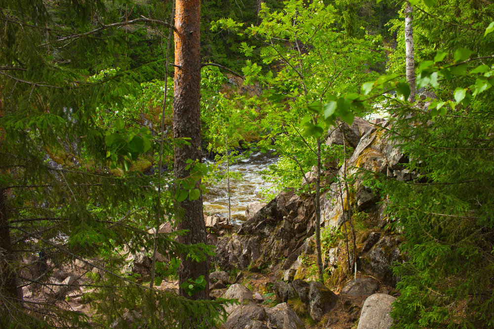 IMG_3936 Заповдник Кивач.jpg