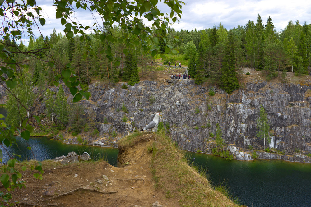 IMG_4373 Песнь северной природы.JPG