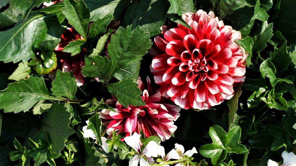 18.06.30_232_ Меерсбур.JPG