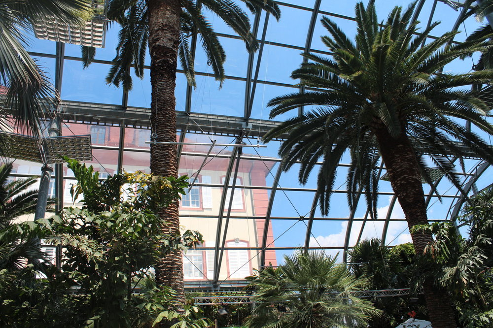 18.06.30_246_ о.Майнау.JPG