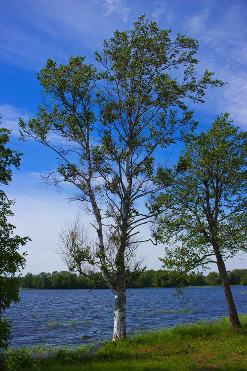 IMG_3833 Кижи.jpg