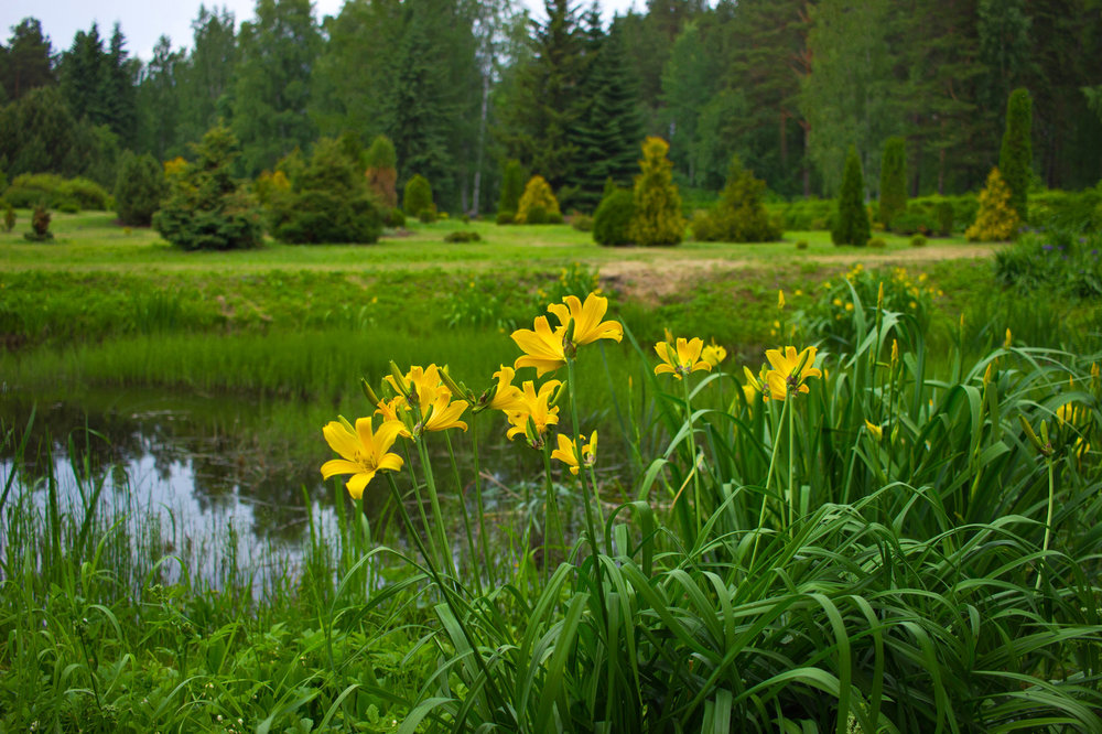 IMG_4096 Ботанический сад.jpg