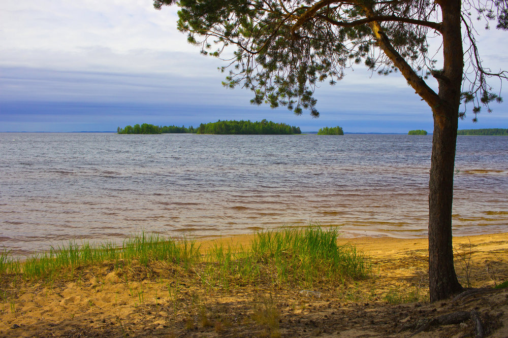 IMG_4427 Сямозеро.jpg