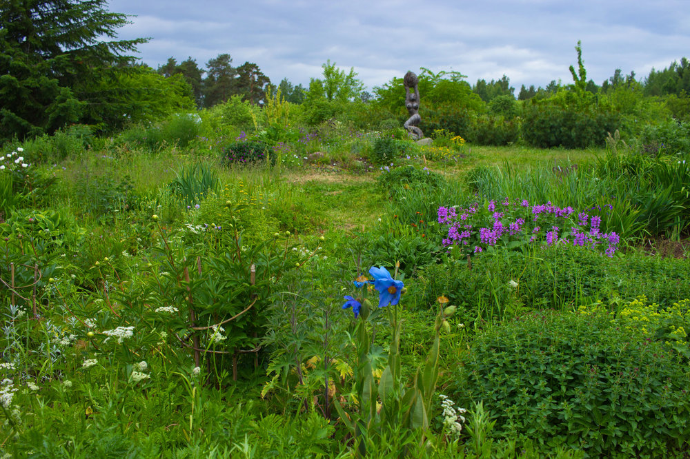 IMG_4129 Ботанический сад.jpg