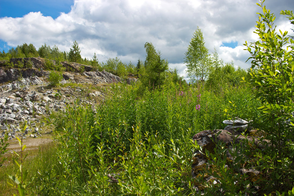 IMG_4279 Белая гора.JPG