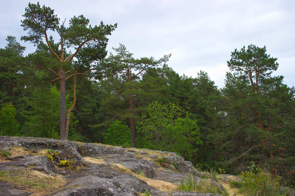 IMG_4211 Урочище Чертов Стул.jpg