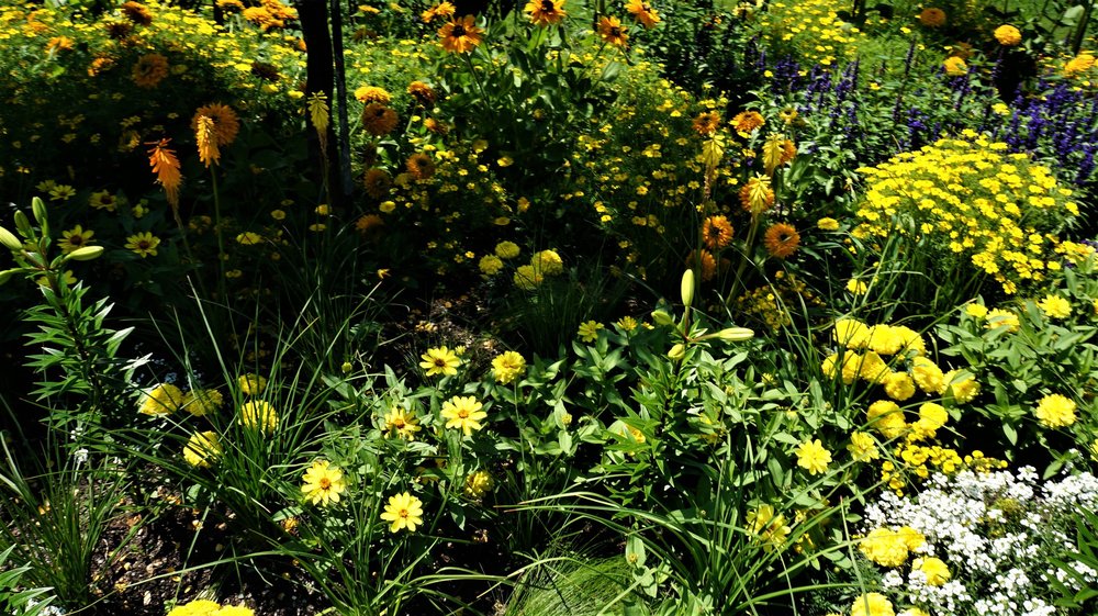 18.06.30_268_ о.Майнау.JPG