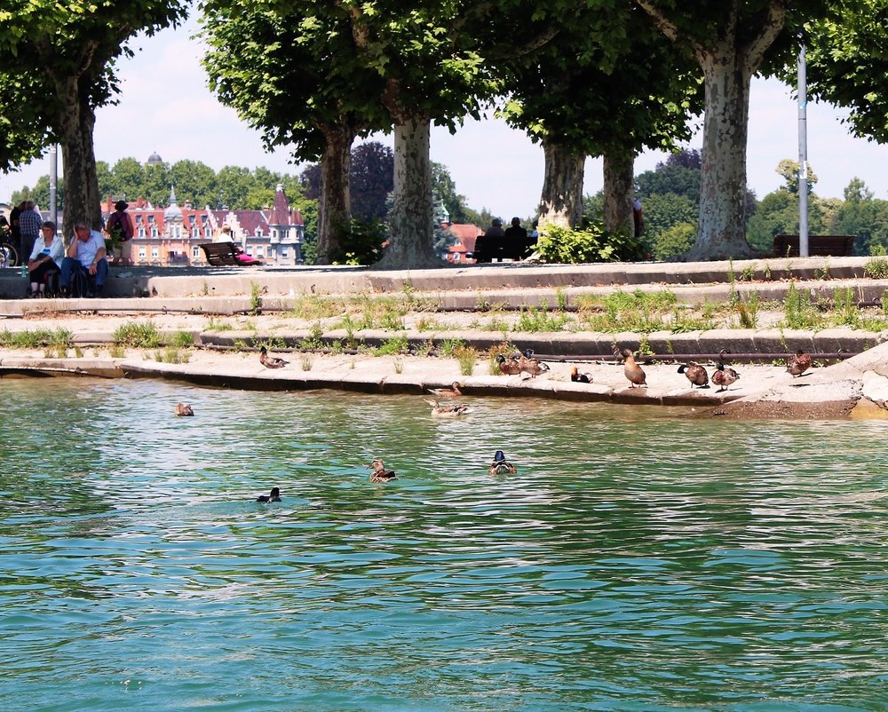 18.06.30_300_  Констанц_ после Майнау.JPG