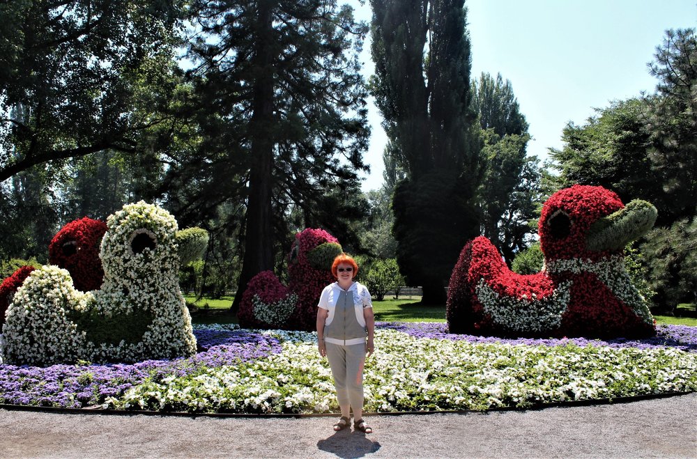 18.06.30_060_ о.Майнау.JPG