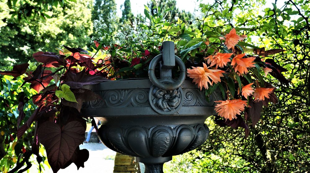 18.06.30_163_ о.Майнау.JPG