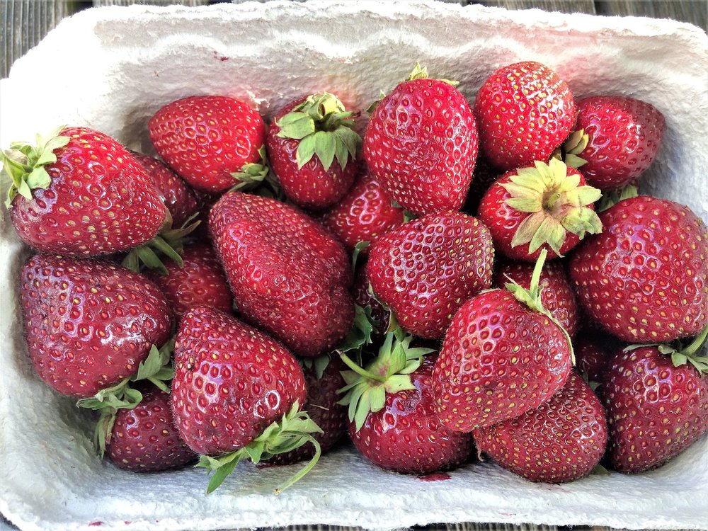 18.06.30_246_ Меерсбур.JPG