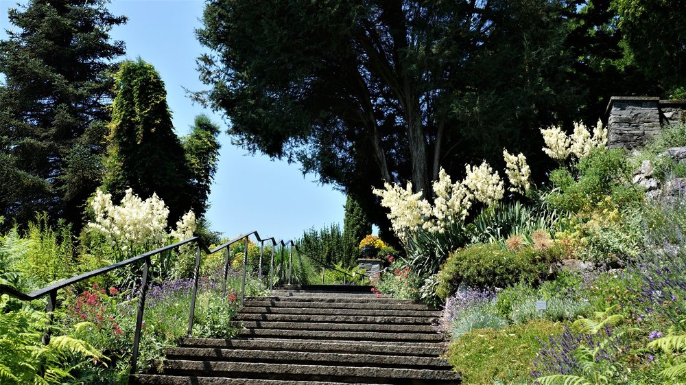 18.06.30_158_ о.Майнау.JPG