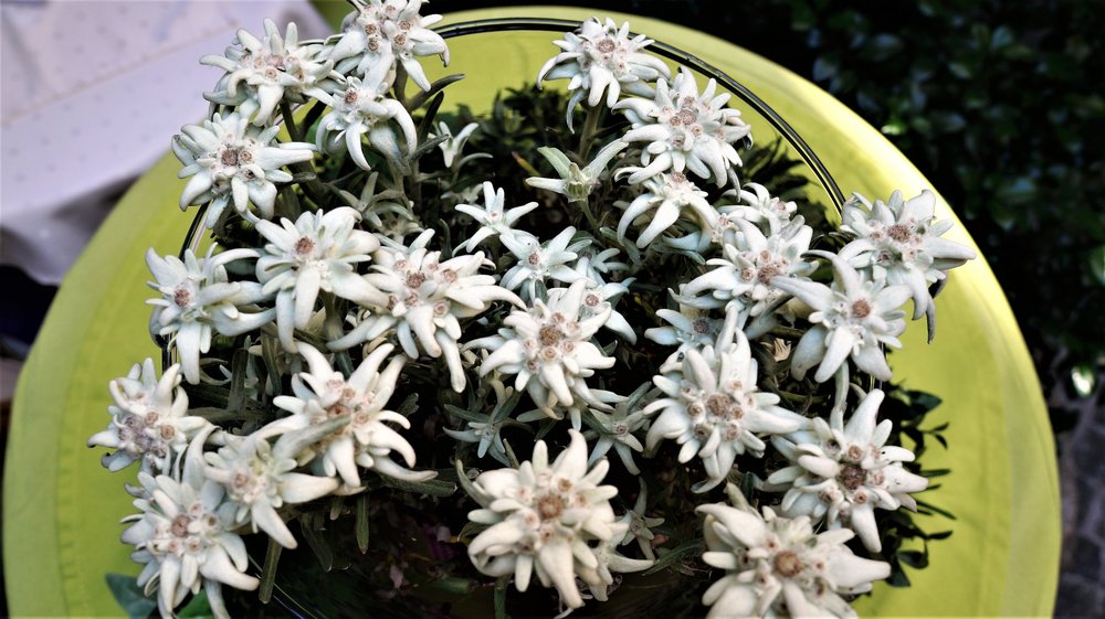 18.07.02_143_  Зальцбург.JPG