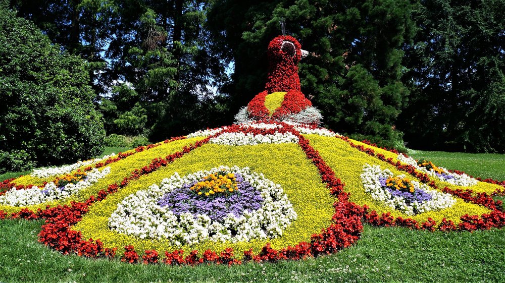 18.06.30_040_ о.Майнау.JPG