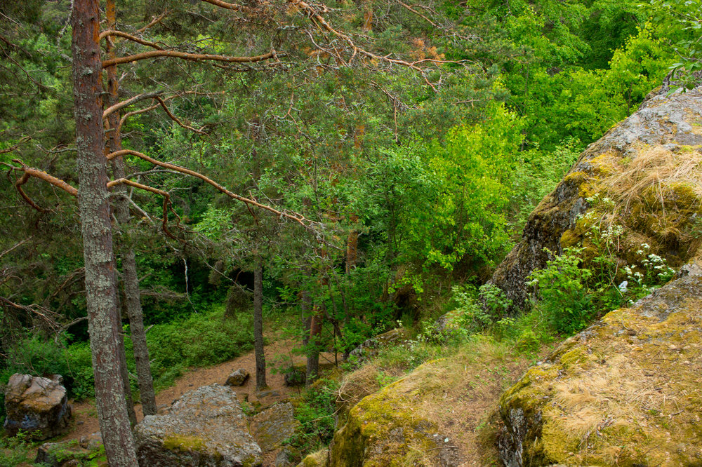 IMG_4225 Урочище Чертов Стул.jpg