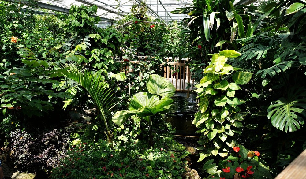 18.06.30_363_ о.Майнау.JPG