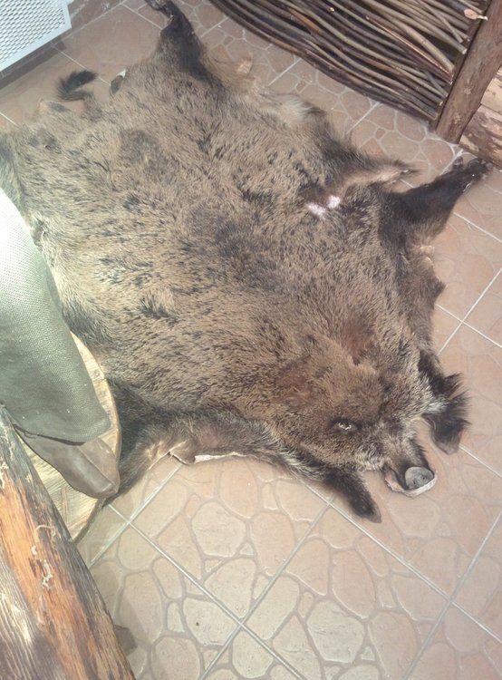 2018-09-13 13-41-52.JPG