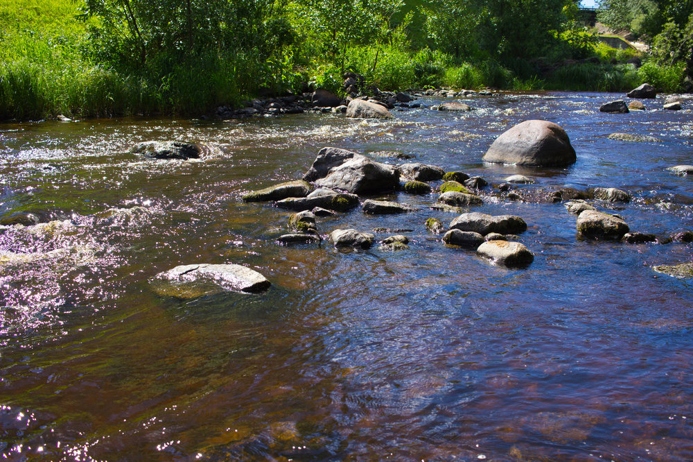 IMG_4074 Петрозаводск Река Лососинка.jpg