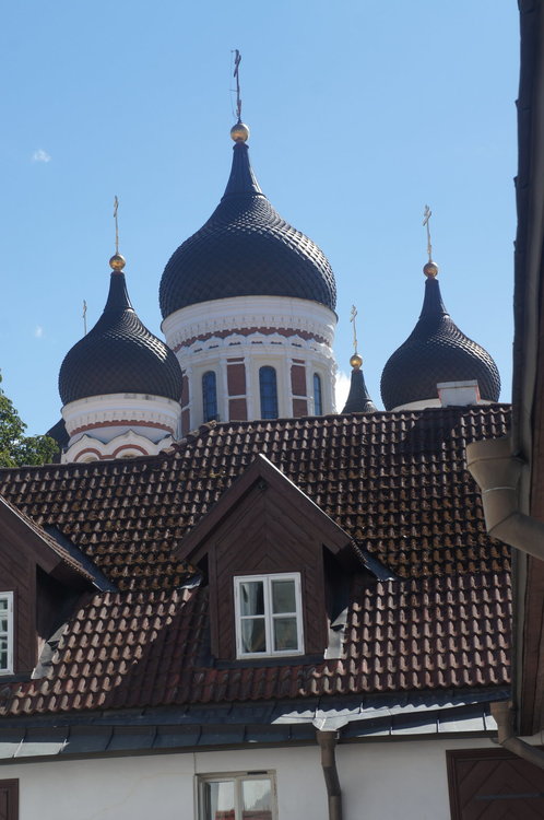 DSC04893.  Таллин. Эстония    .JPG