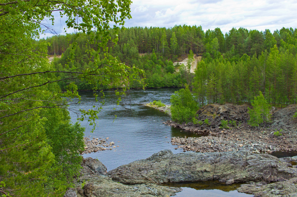 IMG_3908 Парк Гирвас.jpg