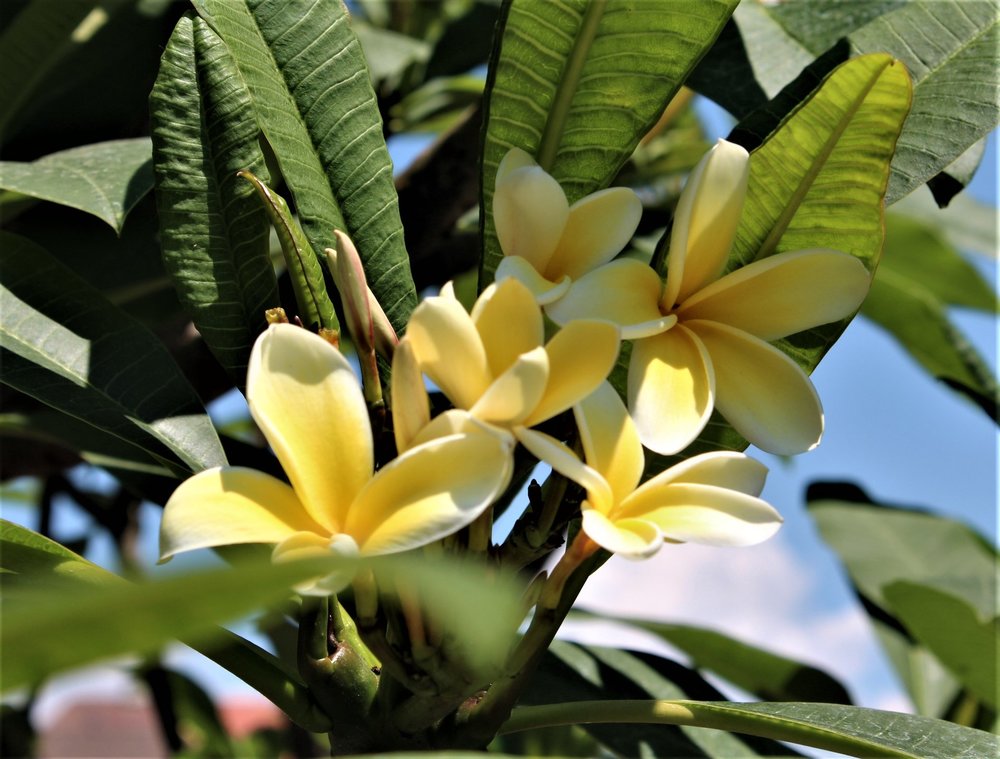 18.06.30_171_ о.Майнау.JPG