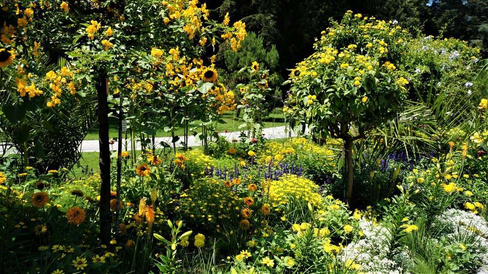 18.06.30_265_ о.Майнау.JPG