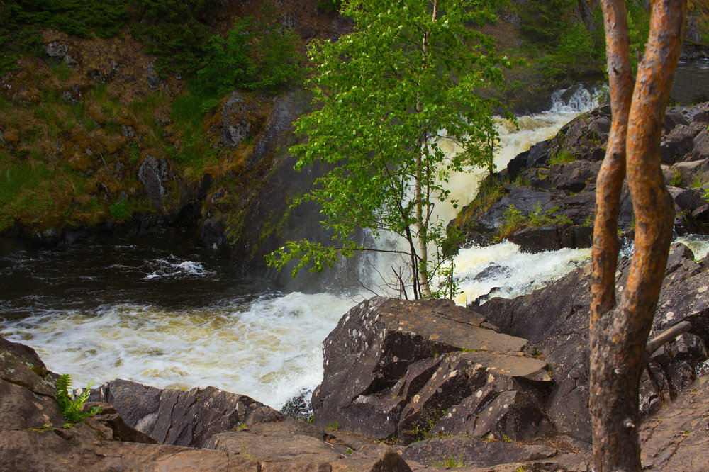 IMG_3940 Заповедник Кивач.jpg