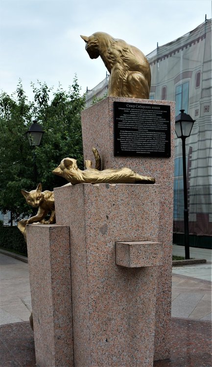 18.07.05_045_ Тюмень_ Сквер сибирских кошек.JPG