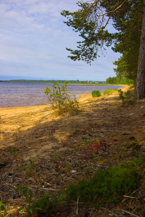 IMG_4420 Сямозеро.jpg