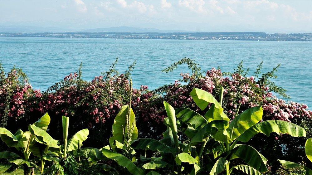 18.06.30_268_ Меерсбур.JPG