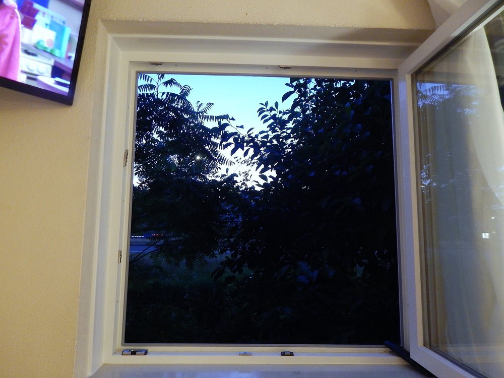 отель в Нидерландах.jpg