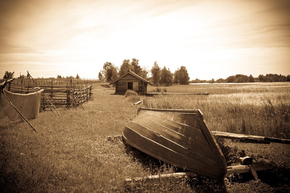 IMG_3761 Кижи графика.jpg