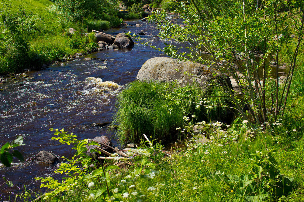 IMG_4068 Петрозаводск Река Лососинка.jpg