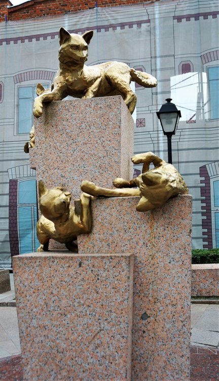 18.07.05_054_ Тюмень_ Сквер сибирских кошек.JPG