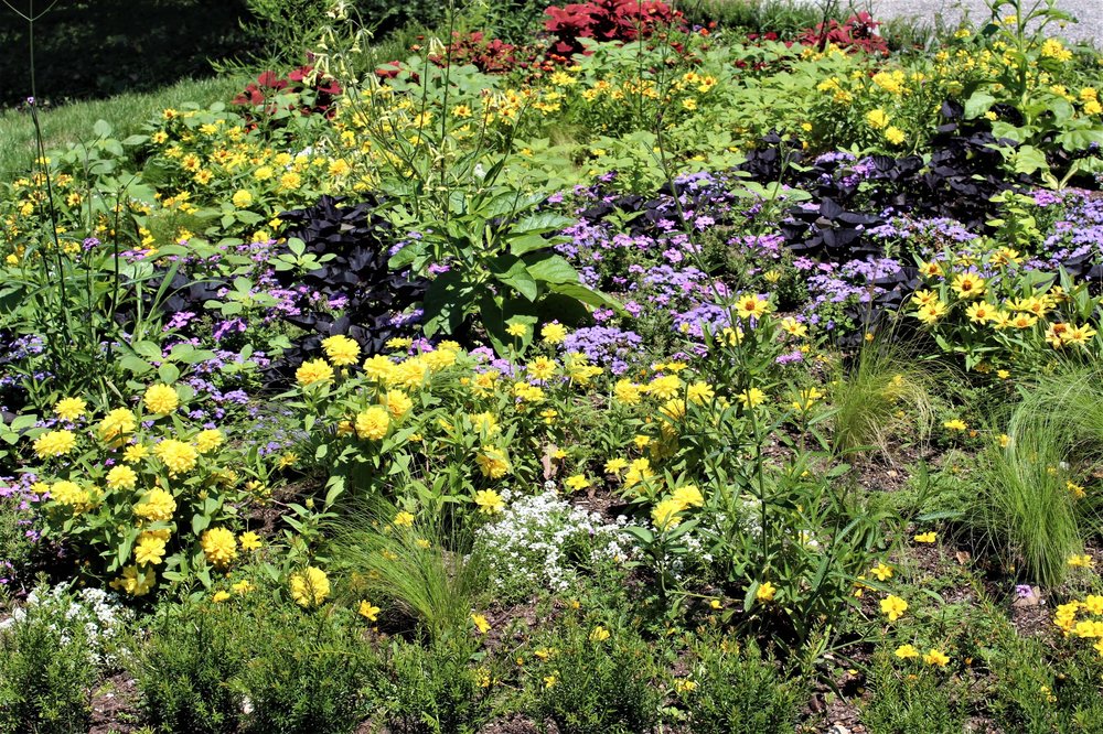 18.06.30_034_ о.Майнау.JPG