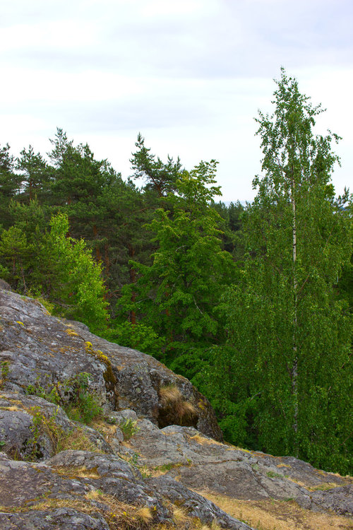 IMG_4208 Урочище Чертов Стул.jpg