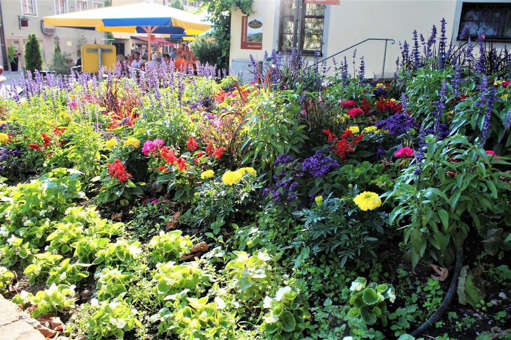 18.06.30_247_ Меерсбур.JPG