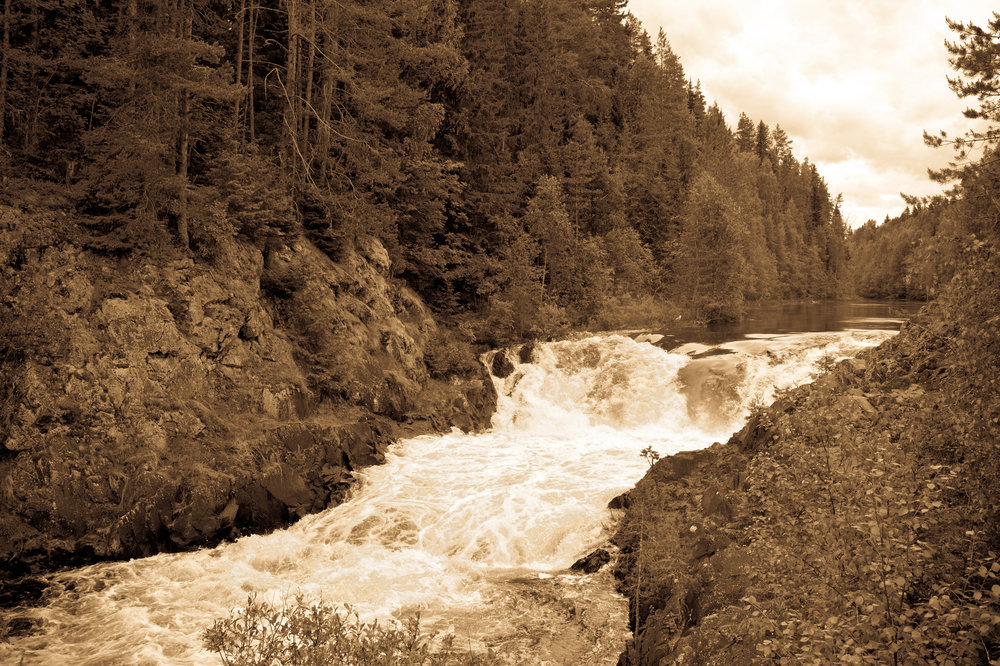 IMG_3964 Заповедник Кивач.jpg