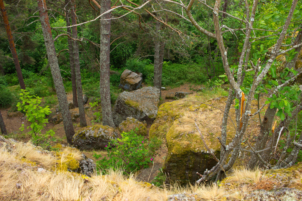 IMG_4222 Урочище Чертов Стул.jpg