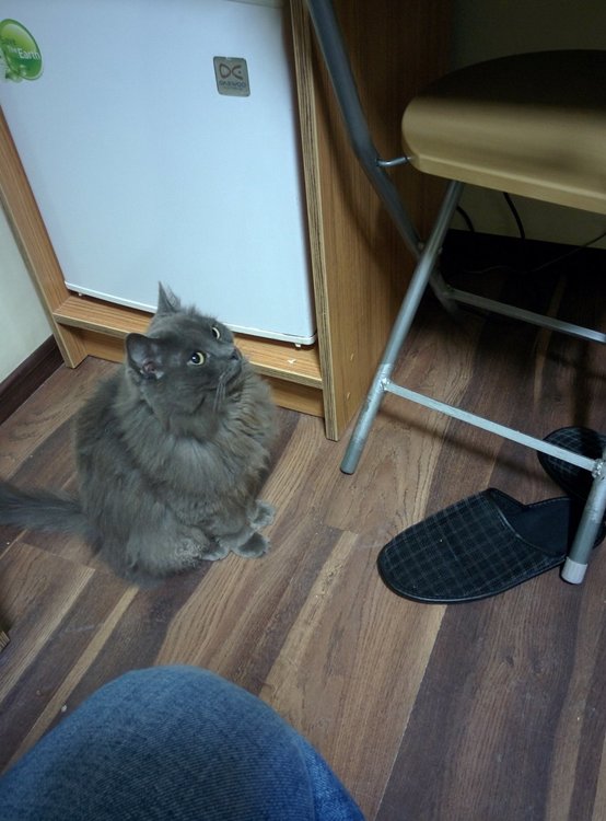 2018-09-14 18-39-19.JPG